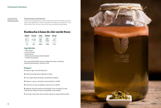 Livro Fermentação à Brasileira