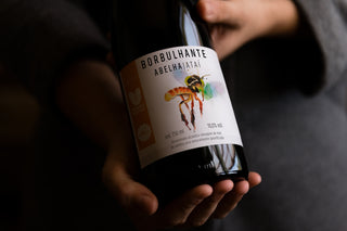Hidromel Borbulhante de Jatai - 750ml