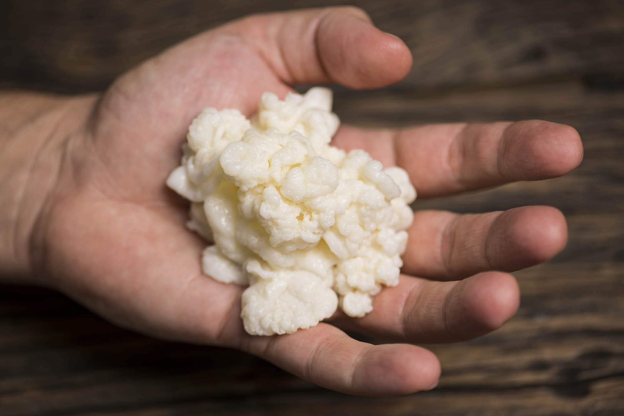 Como fazer e manter o kefir de leite