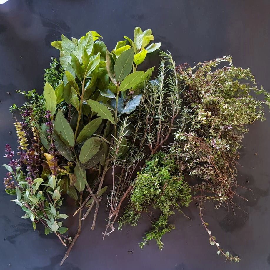 Receita de vinagre de kombucha de ervas com alho