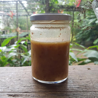 Receita de mostarda fermentada com tucupi