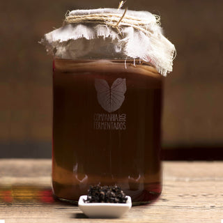 SCOBY de Kombucha