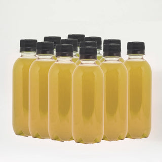 Kombucha: linha draft