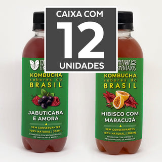 Caixa 12 un. de kombucha - jabuticaba + hibisco - R$ 7,50/un