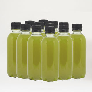 Draft Kombucha de uva verde com hortelã (12 un.)