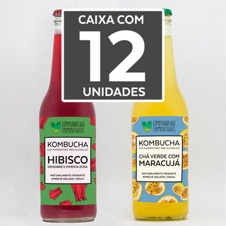 Caixa 12un de kombucha - Hibisco + Maracujá- R$ 14,00/un