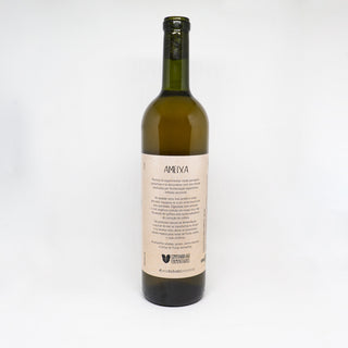 Frukta vinho de ameixa - 750ml - Safra 2021