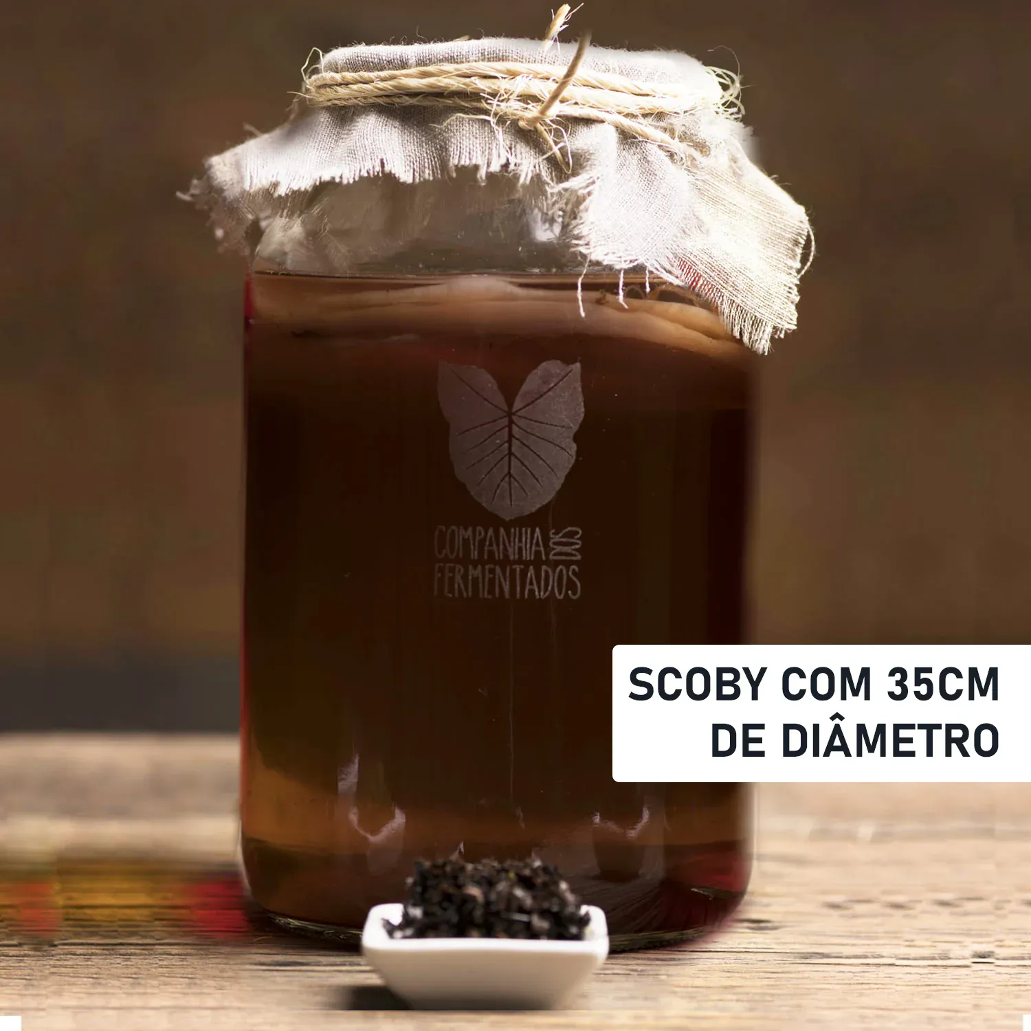 Mãe do Kombucha - SCOBY - 35cm - Chá Preto