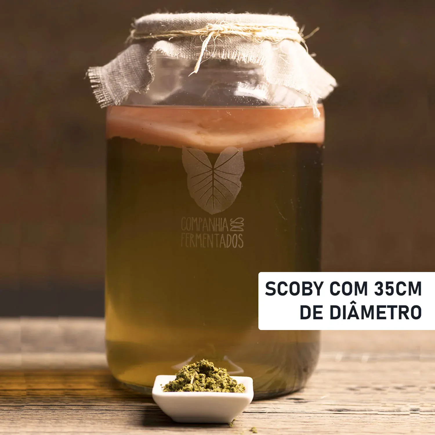 Mãe do Kombucha - SCOBY - 35cm - Chá Verde